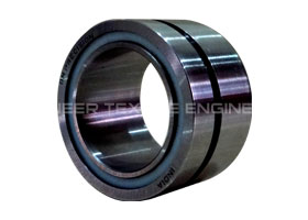 Bio Rotor Bearing